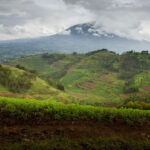 Economic Process Control Under Uncertainty