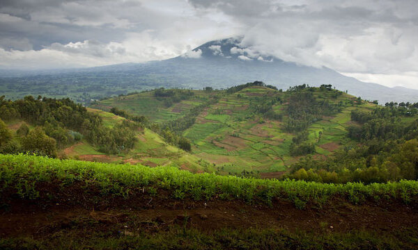 Economic Process Control Under Uncertainty