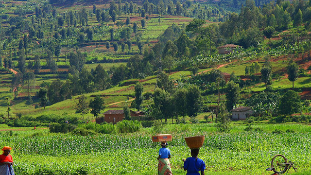 Peaceful Rwandan Landscape